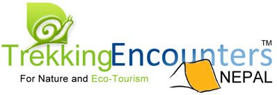 Trekking Encounters Nepal Pvt. Ltd logo